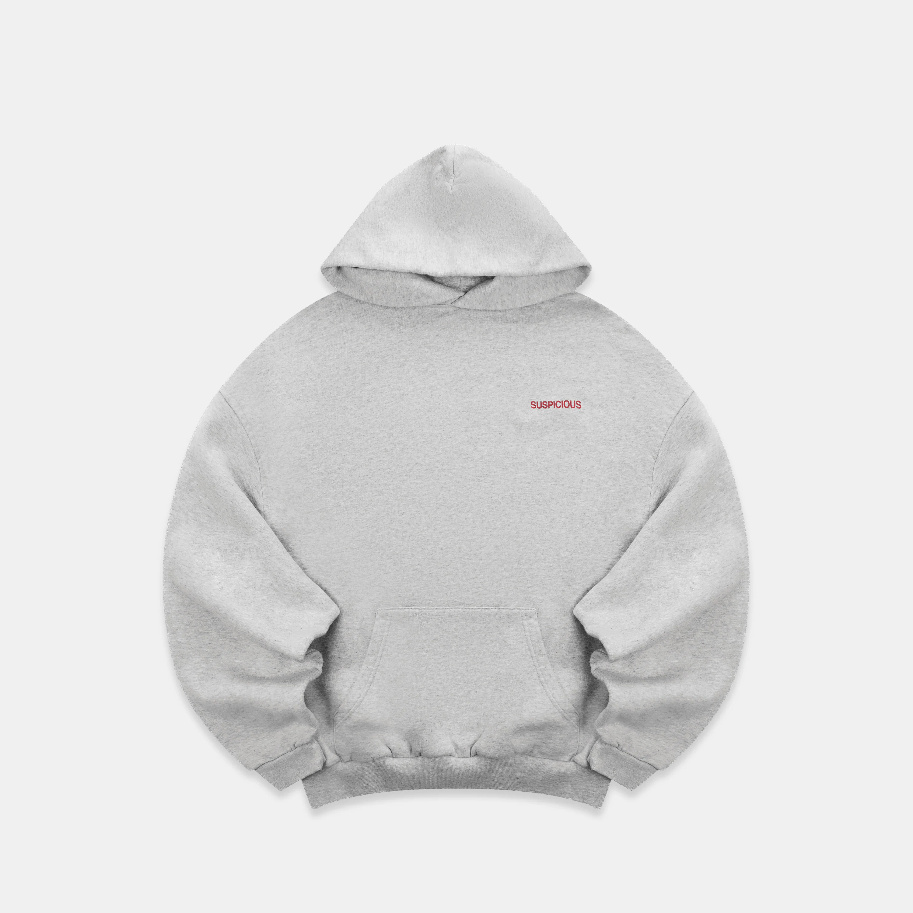 AMS Exclusive / The AMS Store Hoodie - Neutral Heather - Image 10