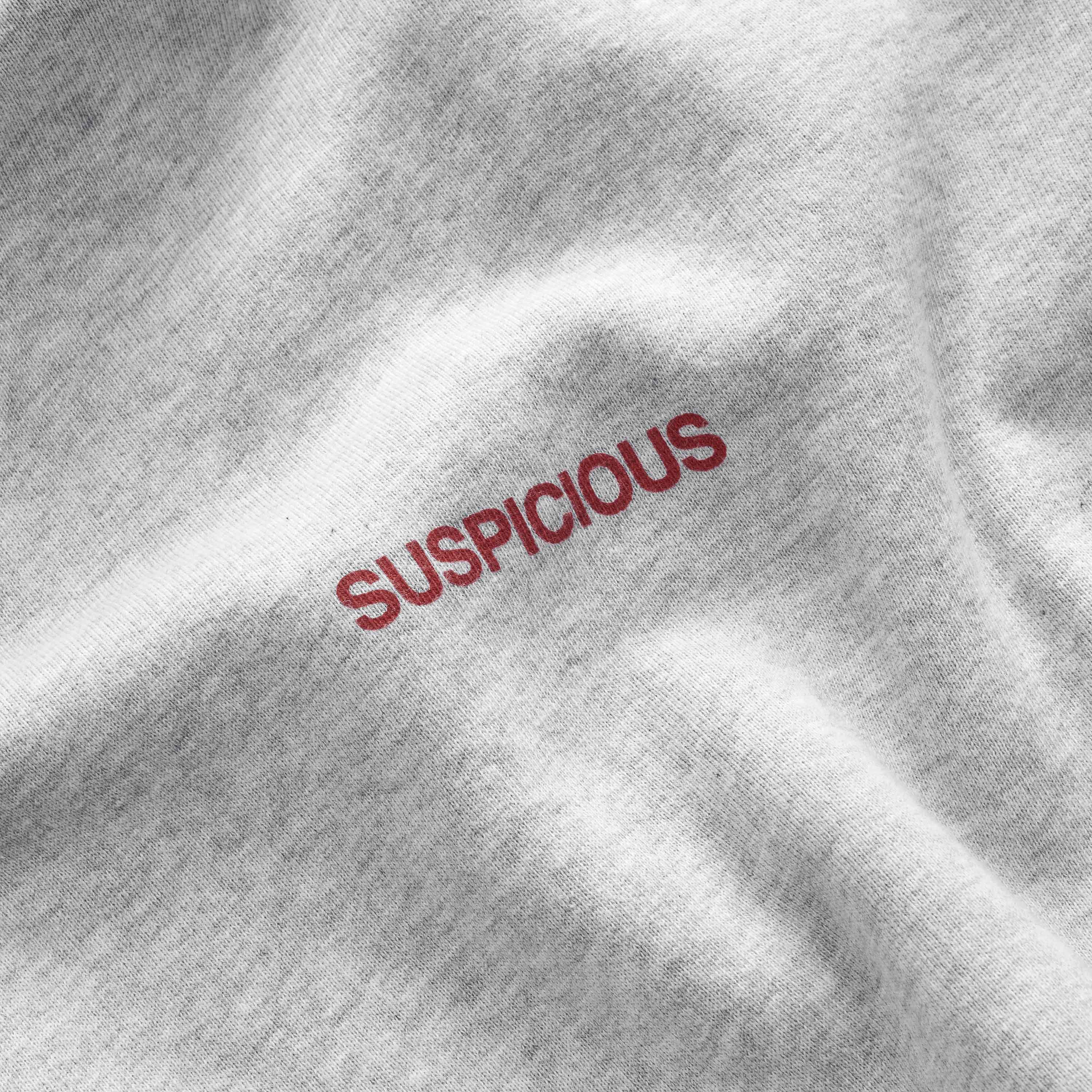 AMS Exclusive / The AMS Store Hoodie - Neutral Heather - Image 7