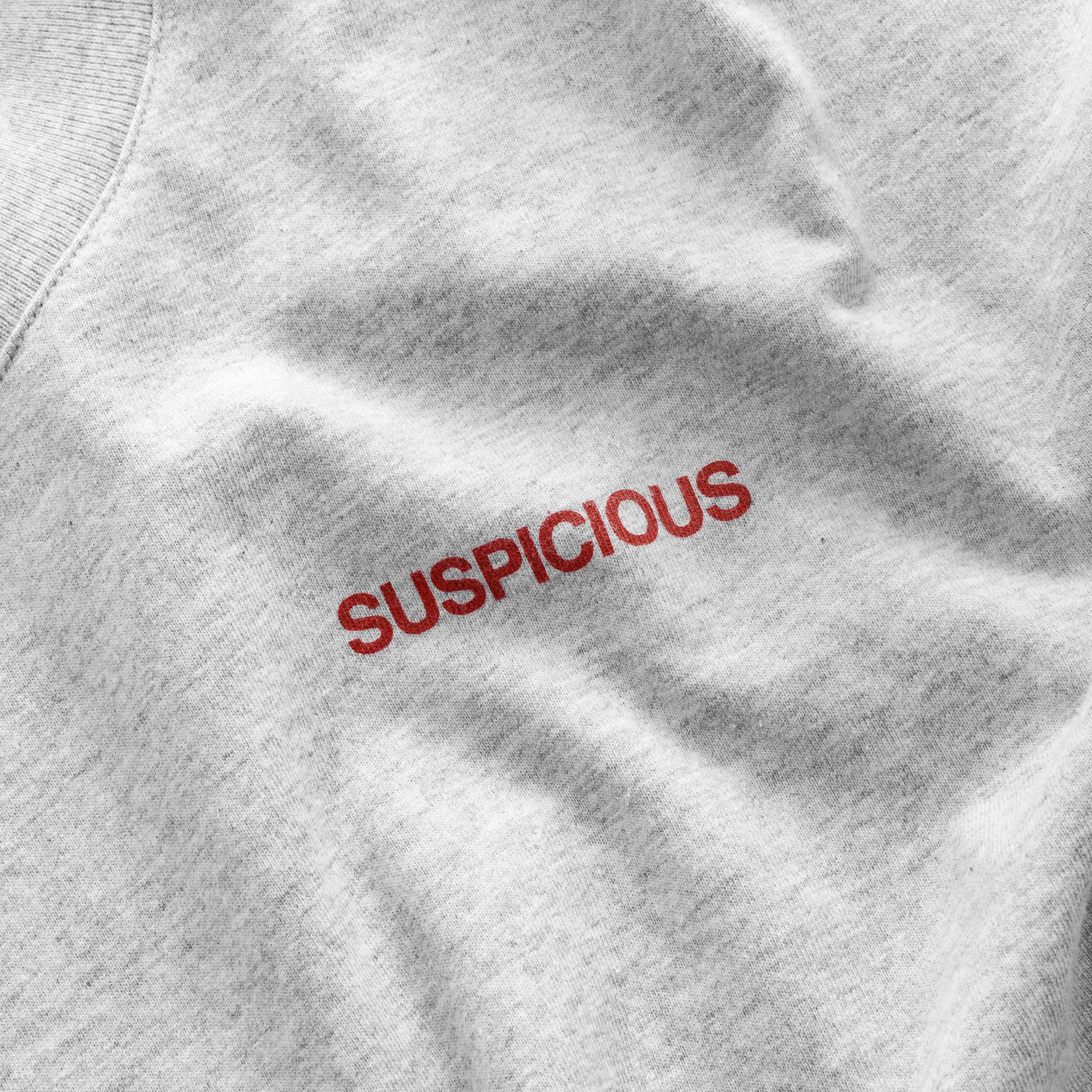 AMS Exclusive / The AMS Store Tee - Neutral Heather - Image 7