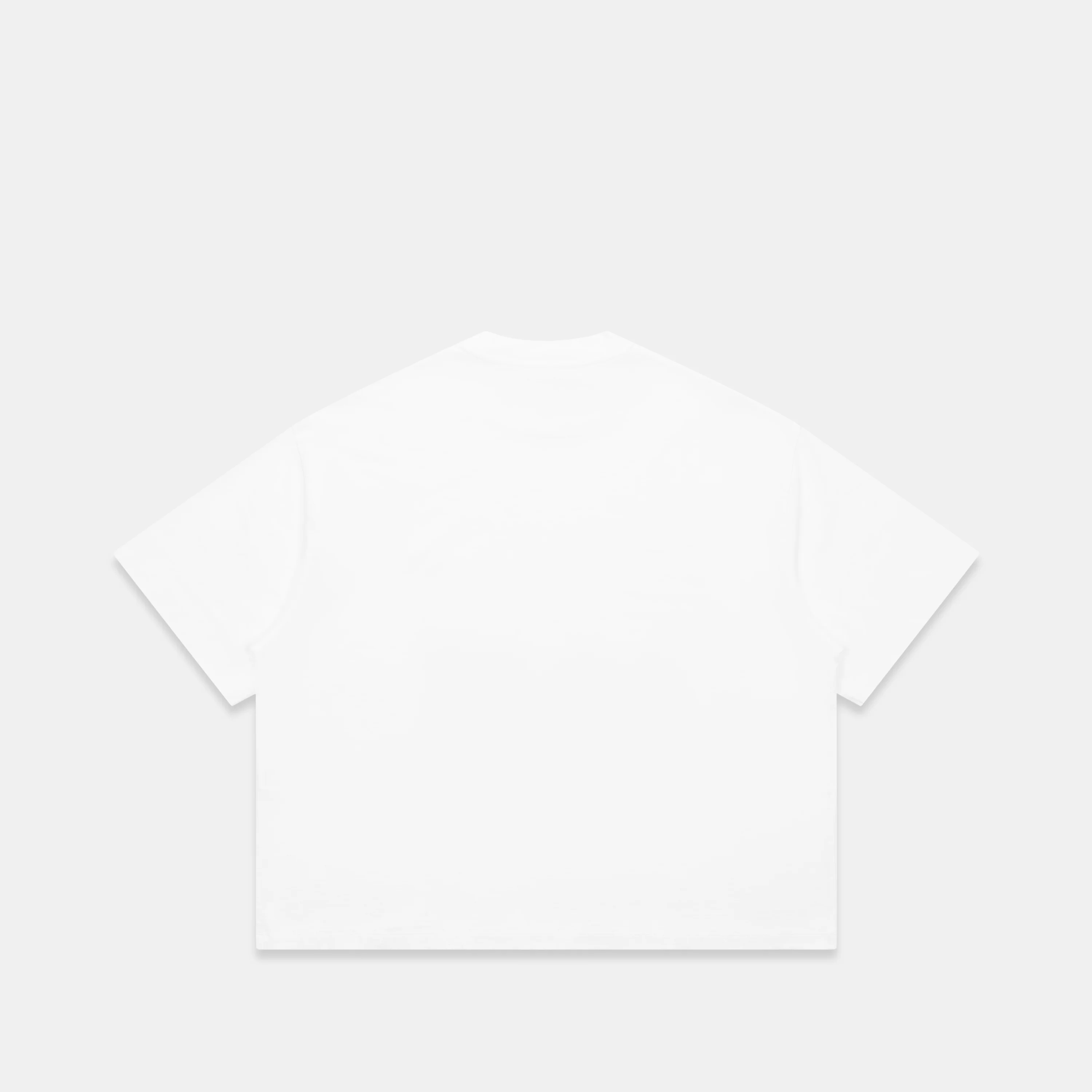 GTD2 / Suspicious Tee - White - Image 4