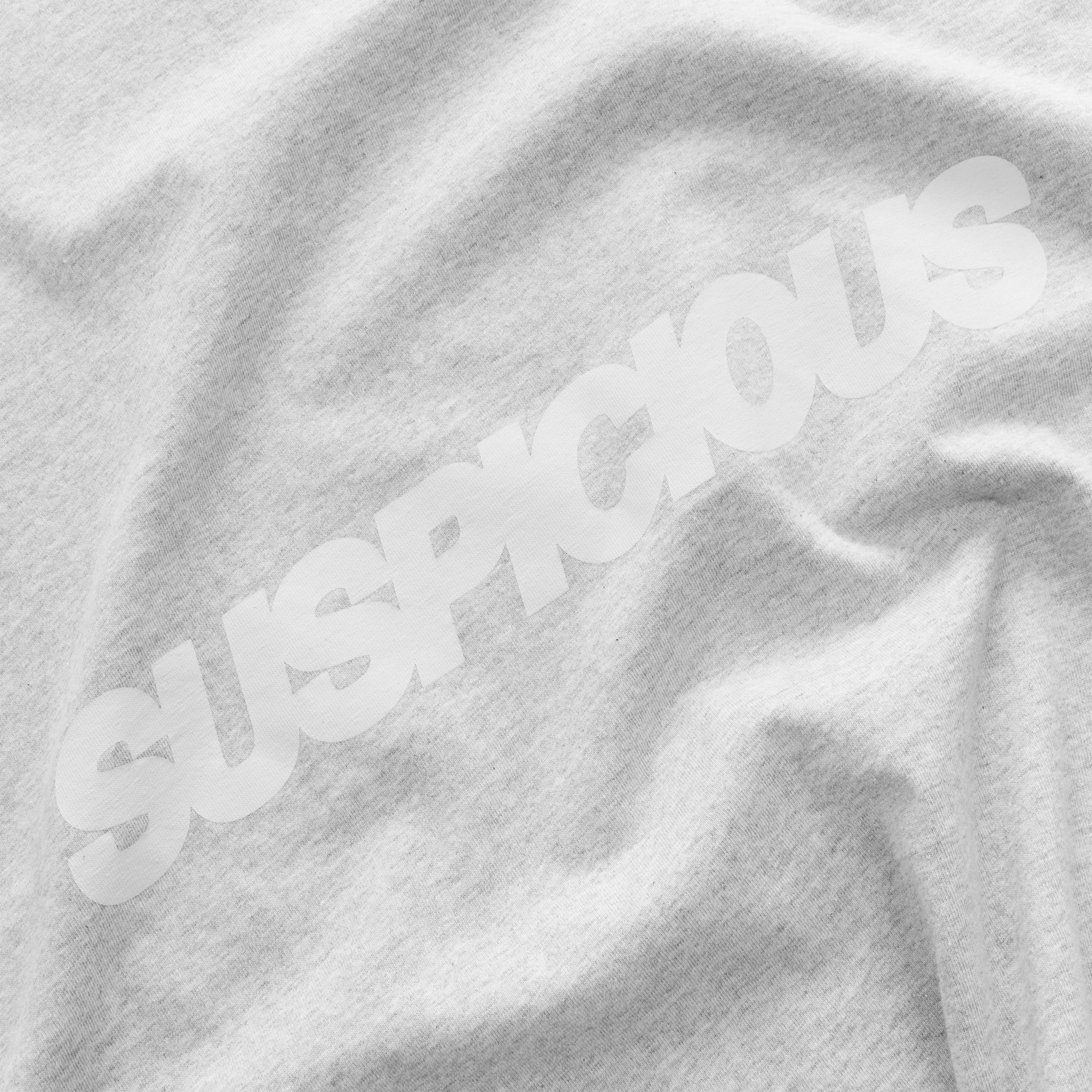 PL / Slanted Crewneck - Neutral Heather - Image 5