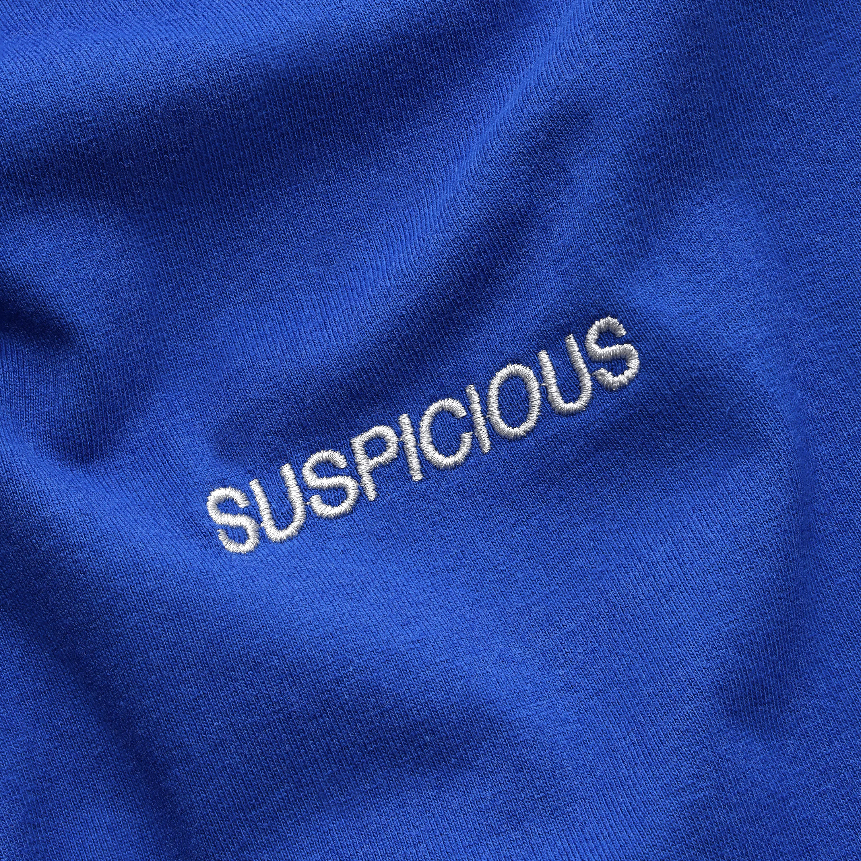 PL / The Essentials Longsleeve - Big Blue - Image 5