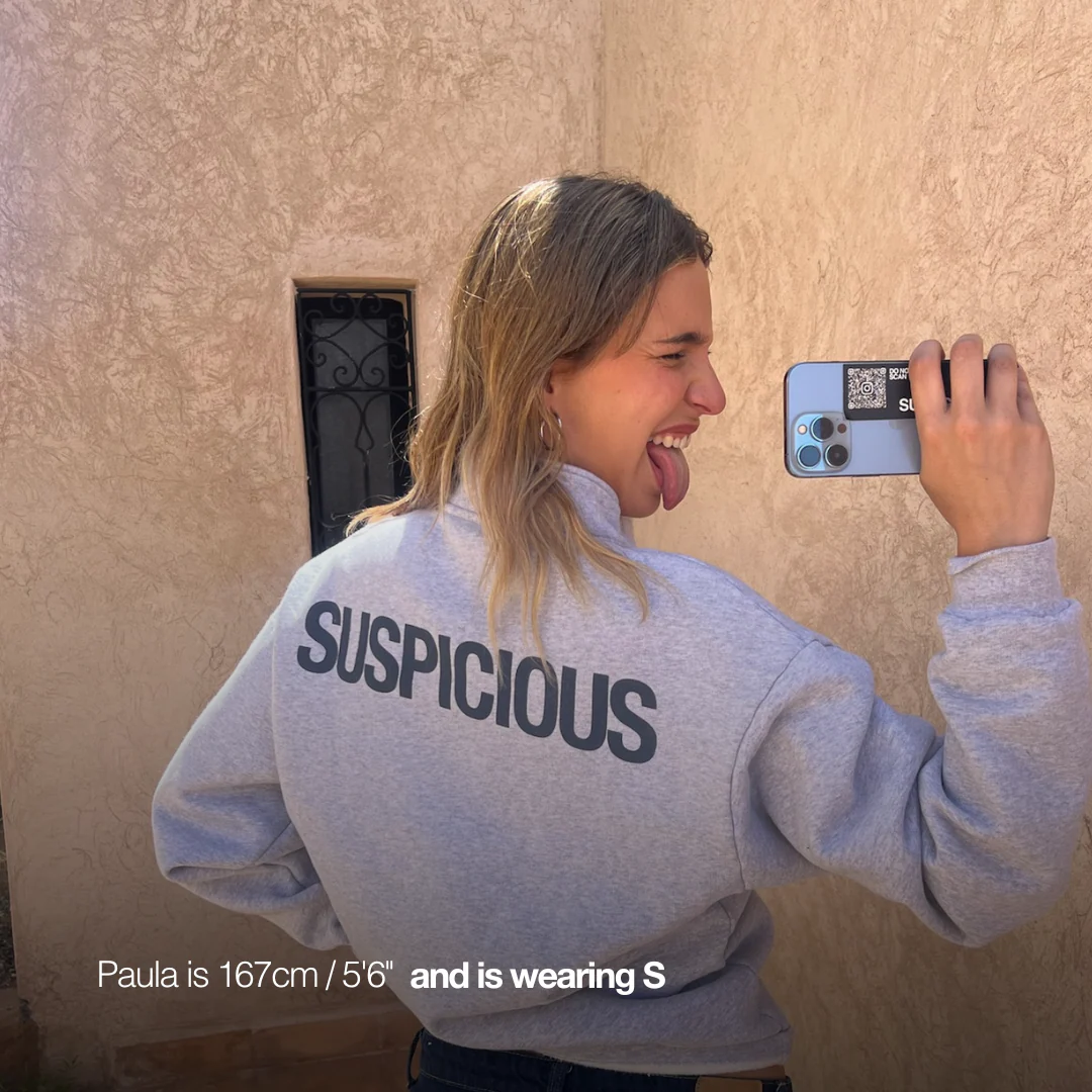 (SS24) The Suspicious Half-Zip Crewneck - Neutral Heather - Image 6