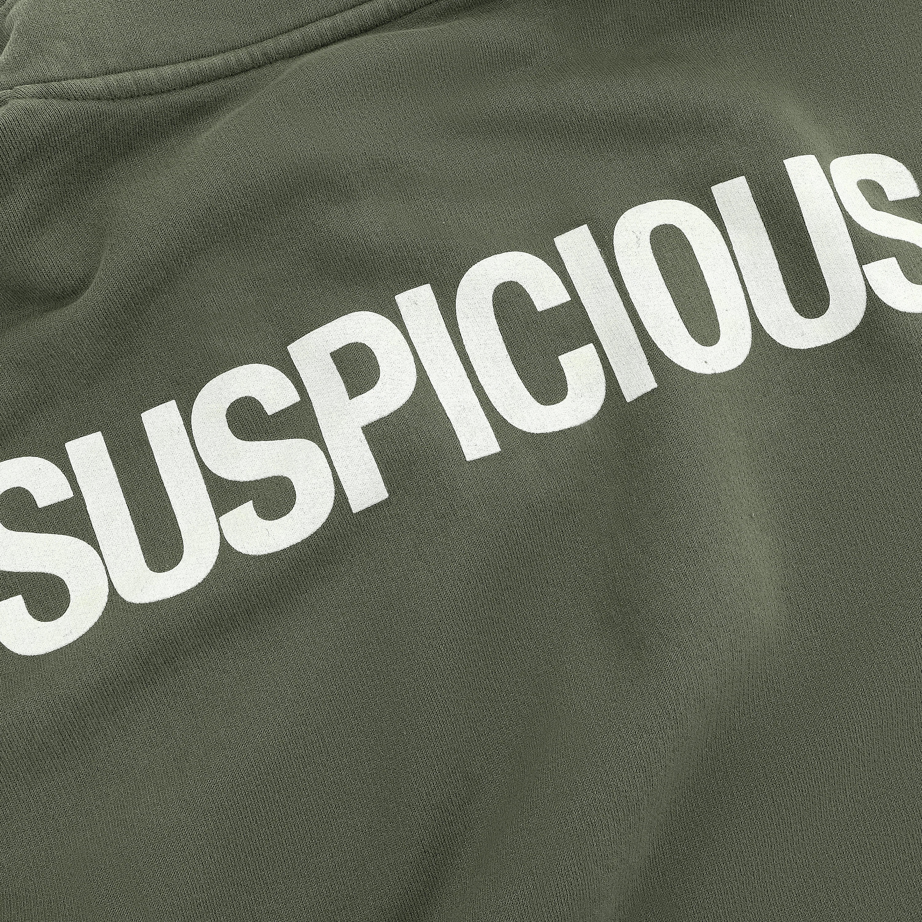 (SS24) The Suspicious Half-Zip Crewneck - Sage - Image 4