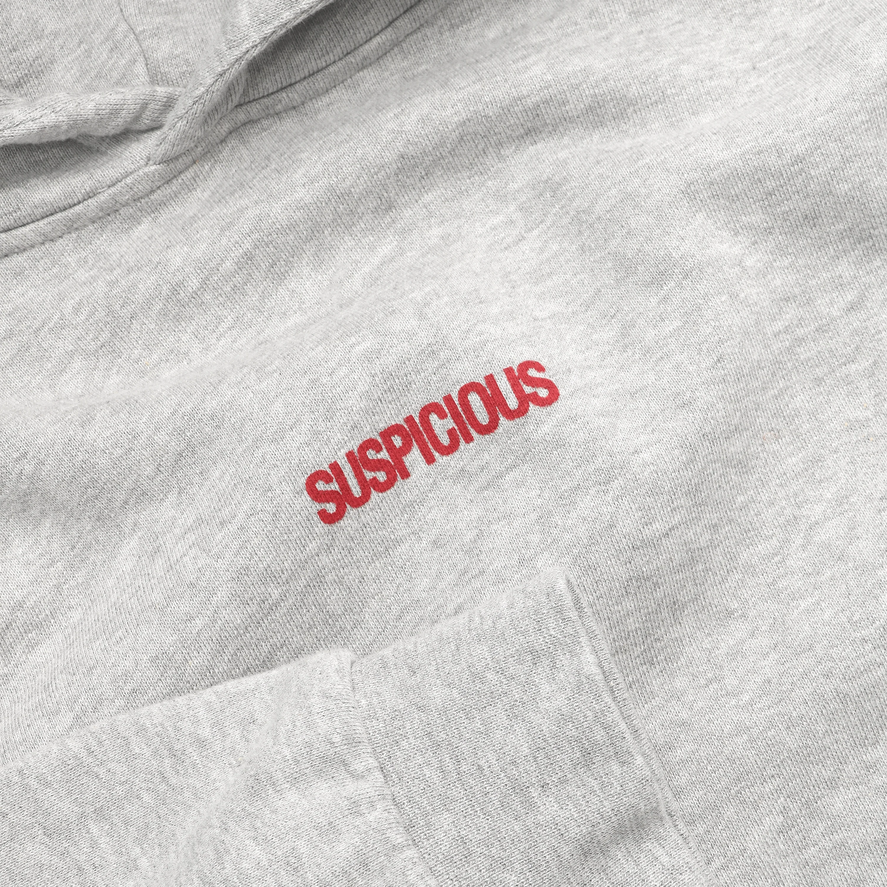 The Centre de Neige Hoodie - Neutral Heather - Image 4