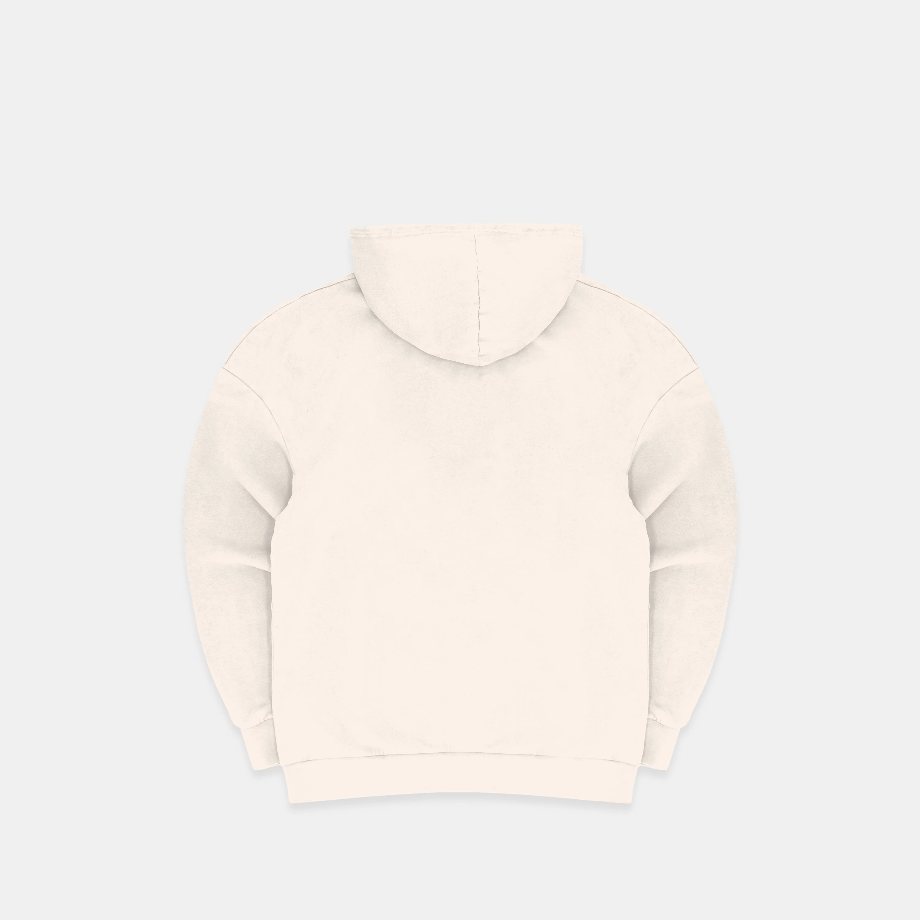 The SSPCS Hoodie - Natural - Image 2