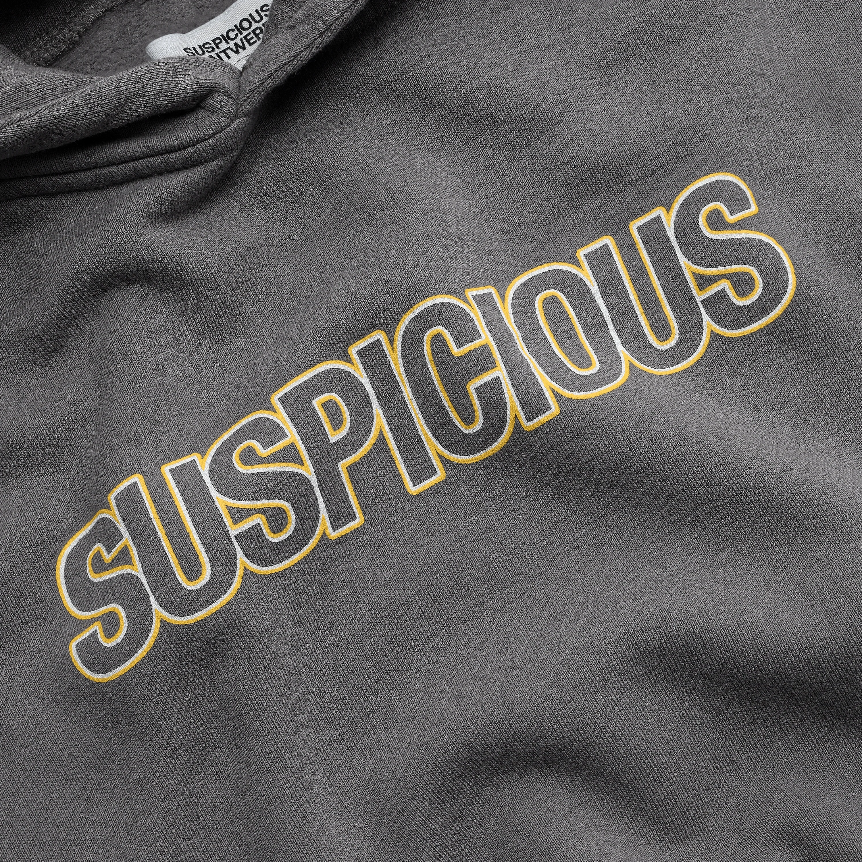 The Suspicious Lining Hoodie - Dark Shadow - Image 2