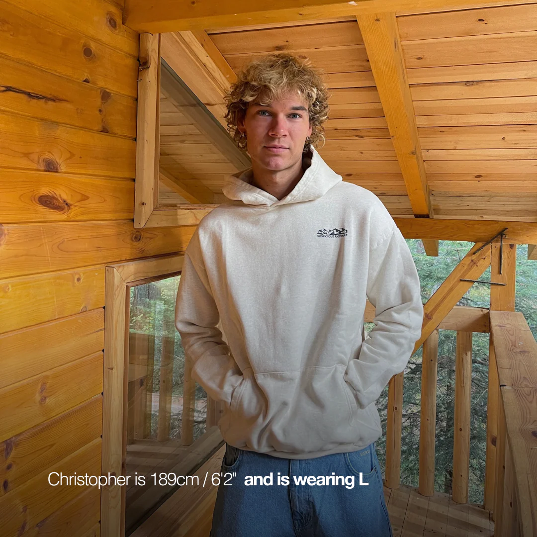 The Landscape Hoodie - Dune Heather - Image 5