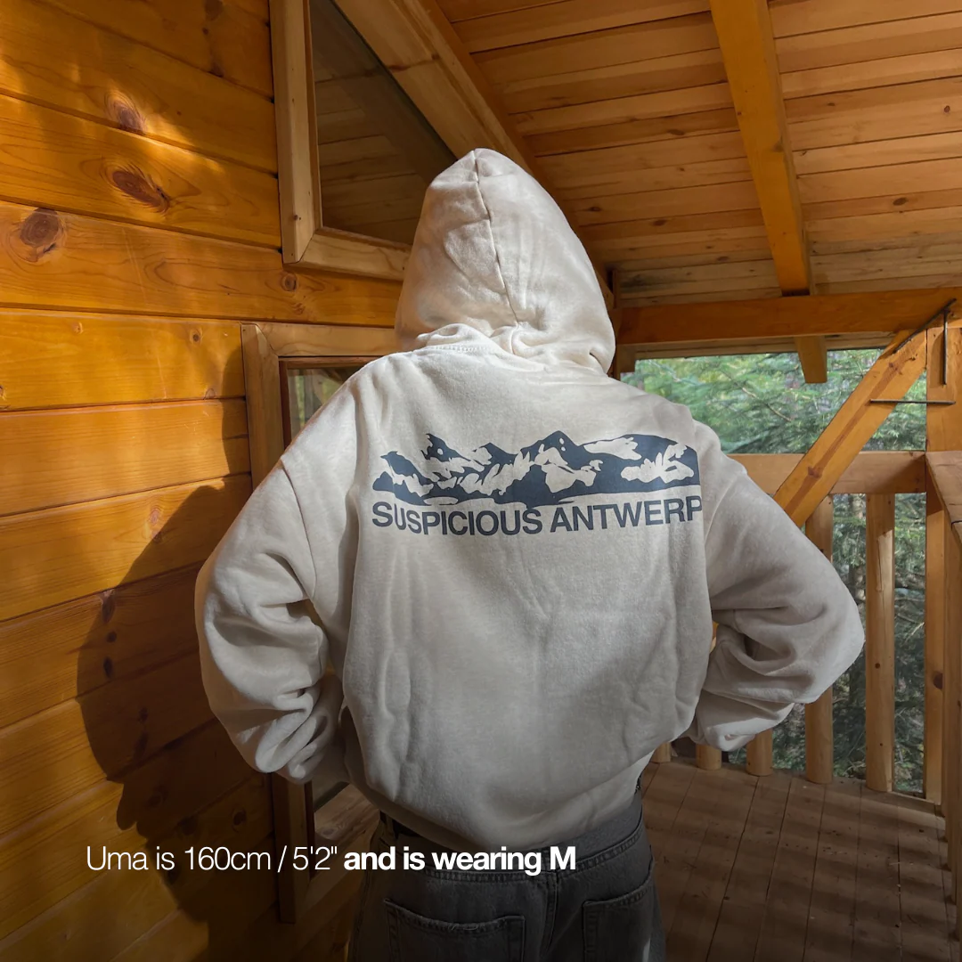 The Landscape Hoodie - Dune Heather - Image 7