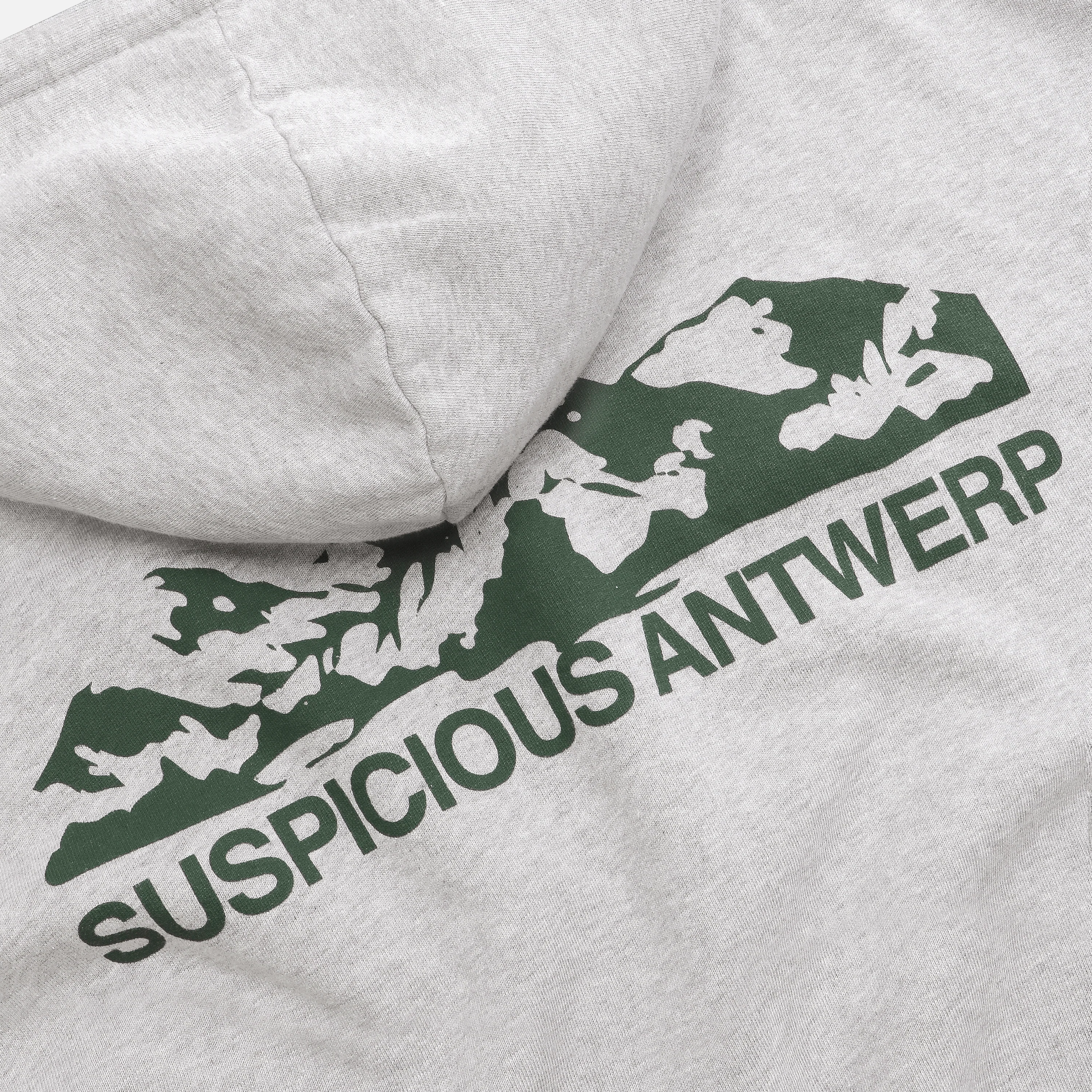 The Landscape Hoodie - Neutral Heather - Image 2