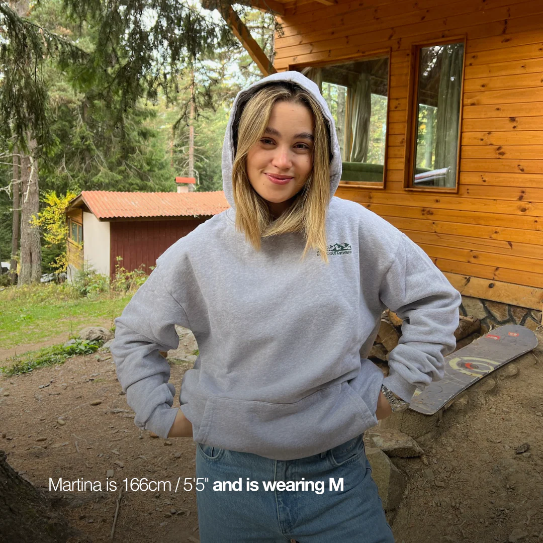 The Landscape Hoodie - Neutral Heather - Image 6