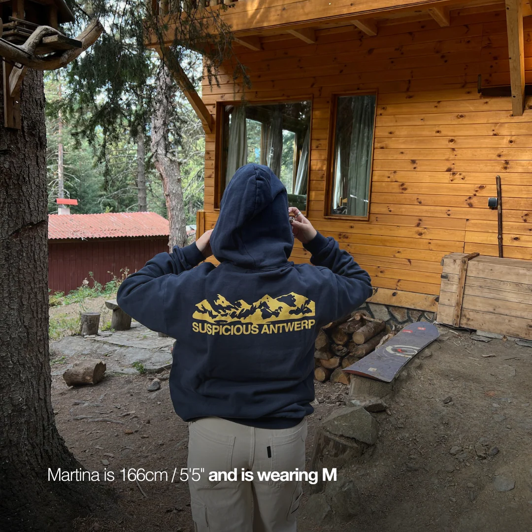 The Landscape Hoodie - Nightfall - Image 5
